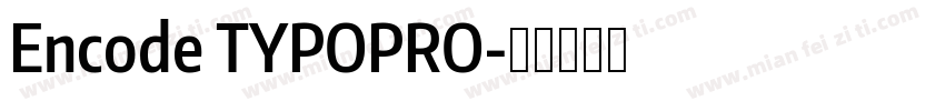 Encode TYPOPRO字体转换